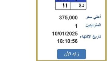 سعرها وصل 375 ألف جنيه.. خطوات التزايد على لوحة سيارة مميزة (رابط) – صحيفة الخبر