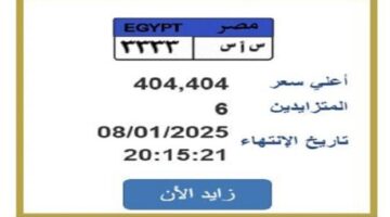 التزايد ينتهي بعد ساعات.. «المرور» تطرح لوحة سيارة مميزة |تفاصيل – صحيفة الخبر