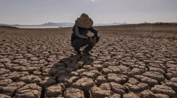 التغير المناخي يهدد الزراعة في المغرب.. هل نحن أمام أزمة غذائية وشيكة؟