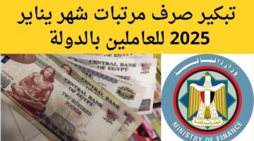 “بشري ساره” تبكير صرف مرتبات شهر يناير 2025 بقرار من المالية