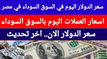 أسعار العملات اليوم في السوق السوداء الاحد 26 يناير 2025.. الدولار ولع