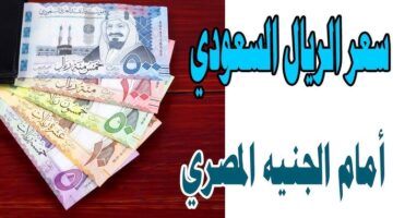 سعر الريال السعودي مقابل الجنية المصري في السوق السوداء اليوم.. ارتفاع ام انخفاض؟