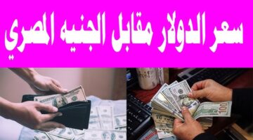 سعر الدولار اليوم مقابل الجنيه المصرى الأحد 5 يناير 2025 بجميع البنوك