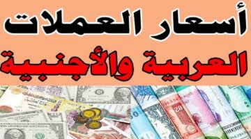 اسعار العملات الآن ترتفع مقابل الجنيه المصري في السوق الموازي .. الدولار كسر حاجز الـ 51 جنيه