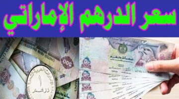 هبوط في سعر الدرهم الاماراتي اليوم مقابل الجنية المصري الأحد5-1-2025 بجميع البنوك