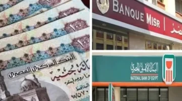 شهادات البنك الاهلى وبنك مصر 2025 بعائد يصل الي 27% و 30% – صحيفة الخبر