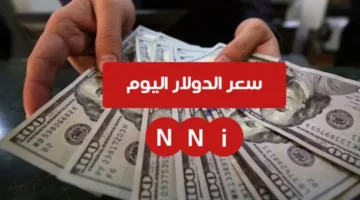 سعر الدولار اليوم في البنوك مقابل الجنيه المصري الخميس 9 يناير 2025 البنك الاهلي وبنك مصر – صحيفة الخبر