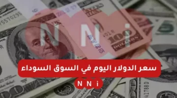 سعر الدولار اليوم مقابل الجنيه المصري الجمعة الموافق 10 يناير 2025 في السوق السوداء والبنوك المصرية – صحيفة الخبر