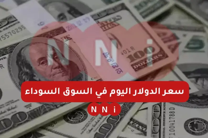 سعر الدولار اليوم مقابل الجنيه المصري الجمعة الموافق 10 يناير 2025 في السوق السوداء والبنوك المصرية – صحيفة الخبر