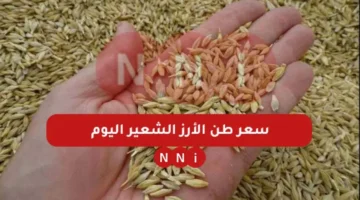 سعر طن الأرز الشعير اليوم الثلاثاء 7 يناير 2025 في مصر واخر اسعار الارز الابيض في الاسواق – صحيفة الخبر