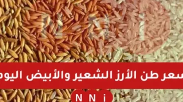 سعر طن الأرز الشعير اليوم الجمعة 10 يناير 2025 اسعار الارز في كافة الأسواق المصرية – صحيفة الخبر