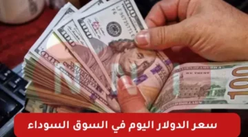 سعر الدولار اليوم في السوق السوداء والبنوك الجمعة 10 يناير 2025 أعلى سعر للدولار مقابل الجنيه المصري – صحيفة الخبر