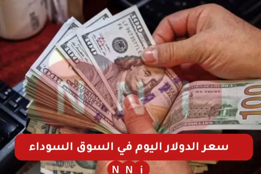 سعر الدولار اليوم في السوق السوداء والبنوك الجمعة 10 يناير 2025 أعلى سعر للدولار مقابل الجنيه المصري – صحيفة الخبر