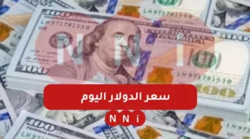 أعلى سعر للدولار اليوم في السوق السوداء الاثنين 6 يناير 2025 وكم سعر الدولار اليوم مقابل الجنيه المصري في البنوك – صحيفة الخبر