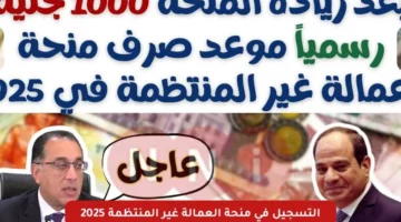 1000 جنية.. طريقة التسجيل في منحة العمالة غير المنتظمة 2025 عبر manpower gov وزارة القوى العامله – صحيفة الخبر