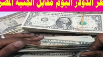 سعر الدولار اليوم في السوق السوداء السبت 25 يناير 2025 وفق آخر تحديثات لقيمتي البيع والشراء في البنوك