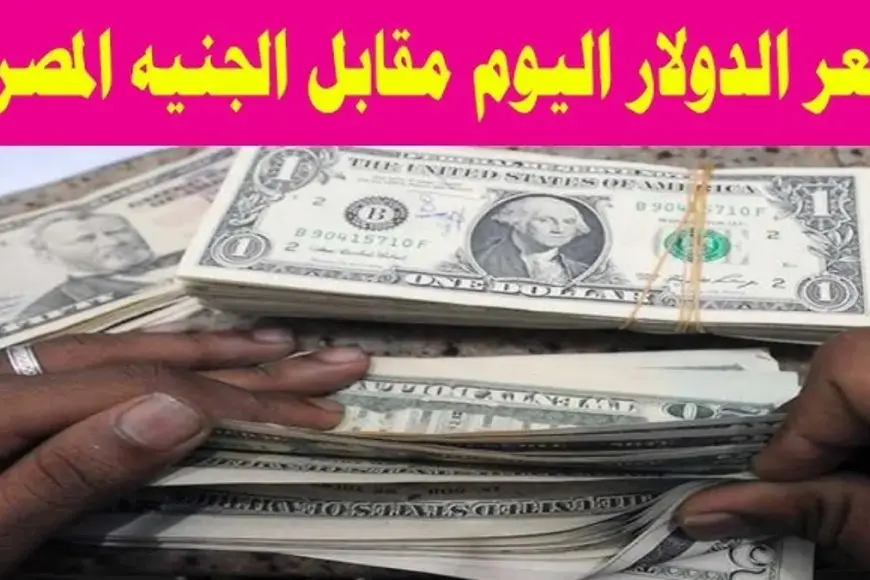 سعر الدولار اليوم في السوق السوداء السبت 25 يناير 2025 وفق آخر تحديثات لقيمتي البيع والشراء في البنوك