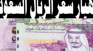 سعر الريال السعودي اليوم مقابل الجنيه المصري للشراء و للبيع الاحد 12 يناير 2025 – صحيفة الخبر