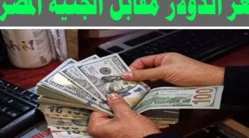 وفقاً لأخر تحديث.. سعر الدولار اليوم في السوق السوداء الاحد 12 يناير 2025 اسعار الدولار في البنوك – صحيفة الخبر