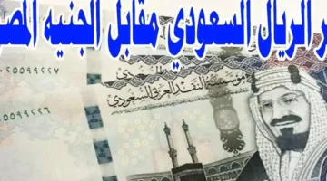 سعر الريال السعودي اليوم مقابل الجنية المصري في السوق السوداء السبت 11-1-2025 اسعار الريال في البنوك – صحيفة الخبر