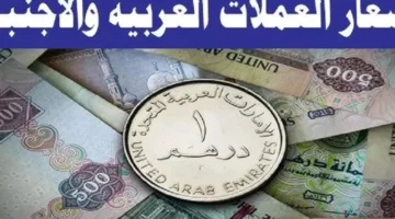 تراجع جديد.. اسعار العملات اليوم في مصر 2025 سعر الدولار بـ 50.93 جنيه – صحيفة الخبر