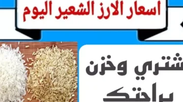 عريض ورفيع الحبه.. سعر طن الأرز الشعير اليوم السبت 11 يناير 2025 للمستهلك واسعار السلع الغذائية – صحيفة الخبر