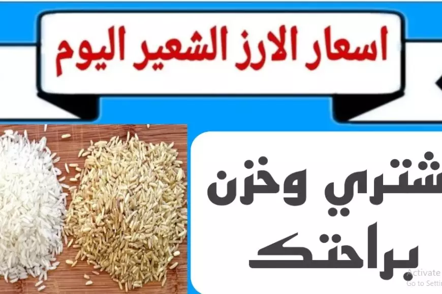 عريض ورفيع الحبه.. سعر طن الأرز الشعير اليوم السبت 11 يناير 2025 للمستهلك واسعار السلع الغذائية – صحيفة الخبر