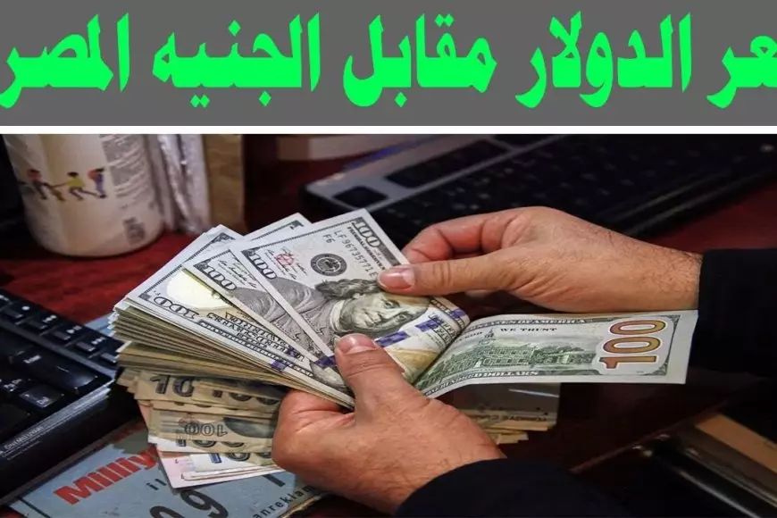 سعر الدولار اليوم مقابل الجنيه المصري السبت 11 يناير 2025 في السوق السوداء والبنوك – صحيفة الخبر