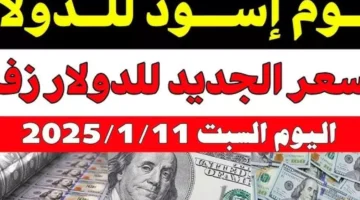 سوق موازية.. سعر الدولار اليوم في مصر تحديث يومي للبيع والشراء بالبنوك والسوق السوداء – صحيفة الخبر