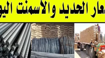 سعر طن حديد عز اليوم الأحد 12-1-2025 اسعار الحديد والاسمنت في جميع الشركات – صحيفة الخبر