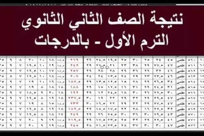 تانية ثانوي.. نتيجة الصف الثاني الثانوي 2025 الترم الاول برقم الجلوس وبالاسم عبر موقع وزارة التربية والتعليم