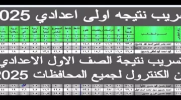 تسريب نتيجة الصف الاول الاعدادي الفصل الدراسي الاول 2025 برقم الجلوس والاسم