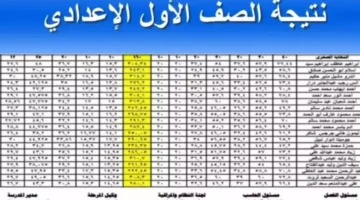 موقع بوابة التعليم الاساسي.. نتيجة الصف الاول الاعدادي برقم الجلوس 2025 eduserv.cairo بجميع المحافظات