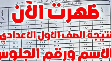 مليون مبروك.. نتيجة الصف الاول الاعدادي برقم الجلوس والاسم eduserv.cairo.gov.eg 2025