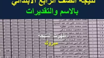 نتيجة الصف الرابع الابتدائي بالاسم فقط 2025 الترم الاول برقم الجلوس عبر eduserv.cairo.gov.eg البوابة الرسمية للنتائج