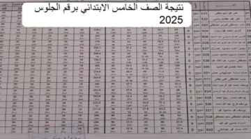 الاستعلام عن نتيجة الصف الخامس الابتدائي برقم الجلوس 2025 للفصل الدراسي الاول بجميع المحافظات