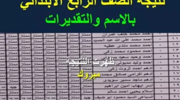 شوف نتيجتك بسهولة.. نتيجه الصف الرابع الابتدائي بالاسم فقط في المحافظات المصرية