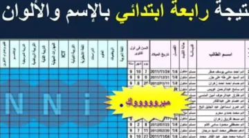 بالجيزة والقاهرة.. استعلم عن نتيجة الصف الرابع الابتدائي بالاسم فقط الترم الأول 2025 بالدرجات وفق بيان وزارة التربية والتعليم