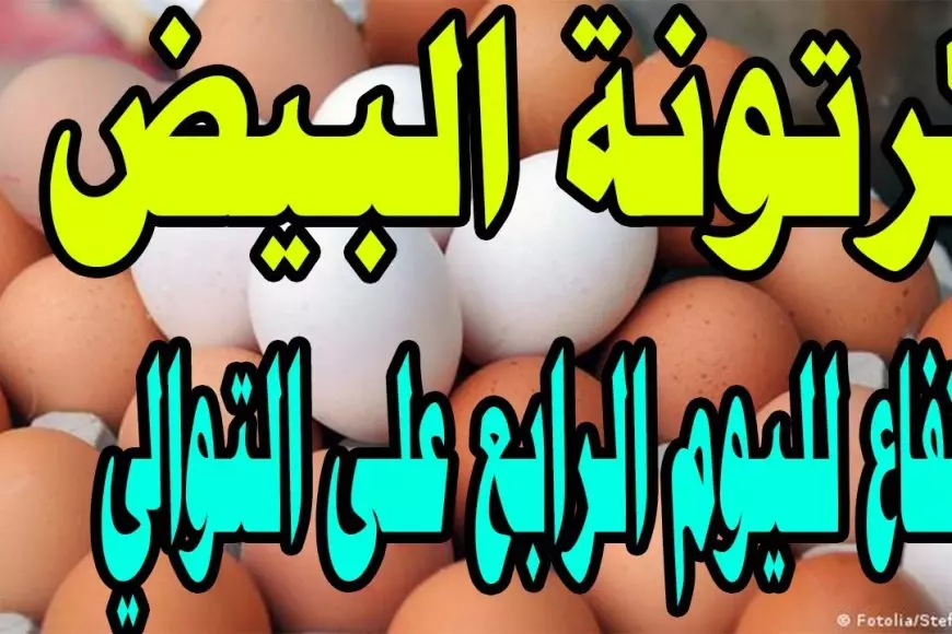 (احمر ابيض بلدي) سعر كرتونة البيض اليوم للمستهلك في الاسواق المصرية