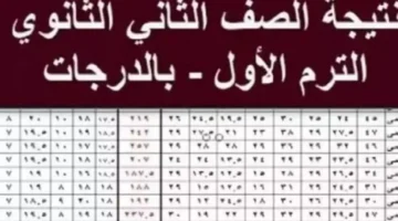 برقم الجلوس والاسم .. نتيجة الصف الثاني الثانوي الترم الاول 2025 موقع وزارة التربية والتعليم