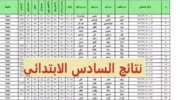 بالدرجات في كل المدارس.. نتيجة الصف السادس الابتدائي برقم الجلوس والاسم 2025 بوابة التعليم الاساسي