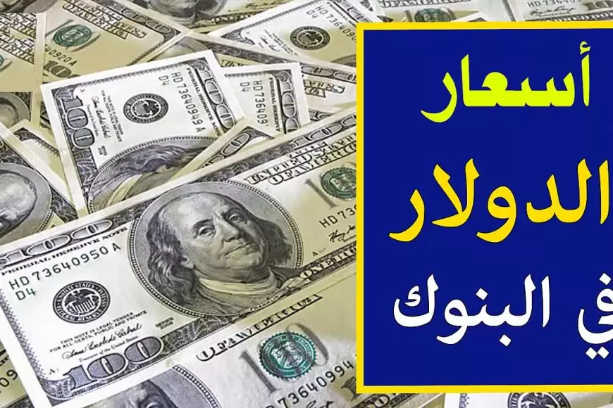 سعر الدولار اليوم في السوق السوداء مقابل الجنيه المصري الاثنين 27 يناير 2025 ببداية التعاملات في البنوك