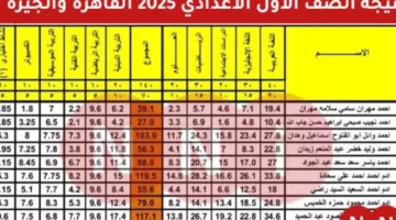 نتيجة الصف الاول الاعدادي الترم الاول 2025 محافظة الجيزة عبر موقع مديرية التربية والتعليم بالجيزة gizaedu.net