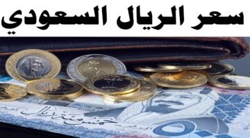 سعر الريال السعودي اليوم الأربعاء 1 يناير 2025 في مختلف البنوك المحلية وفق اخر تحديث