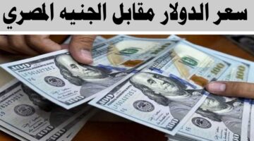 سعر الدولار مقابل الجنيه المصري اليوم الأربعاء 1 يناير 2025 في مختلف البنوك المحلية