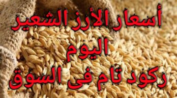 استقرار سعر طن الأرز الشعير اليوم الأحد 5-1-2025 في مصر