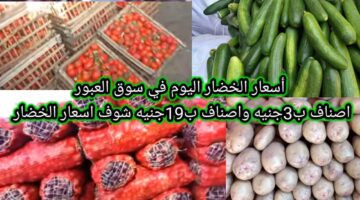 اسعار الخضروات بالكيلو اليوم الأربعاء 1-1-2025 داخل سوق العبور للمستهلك