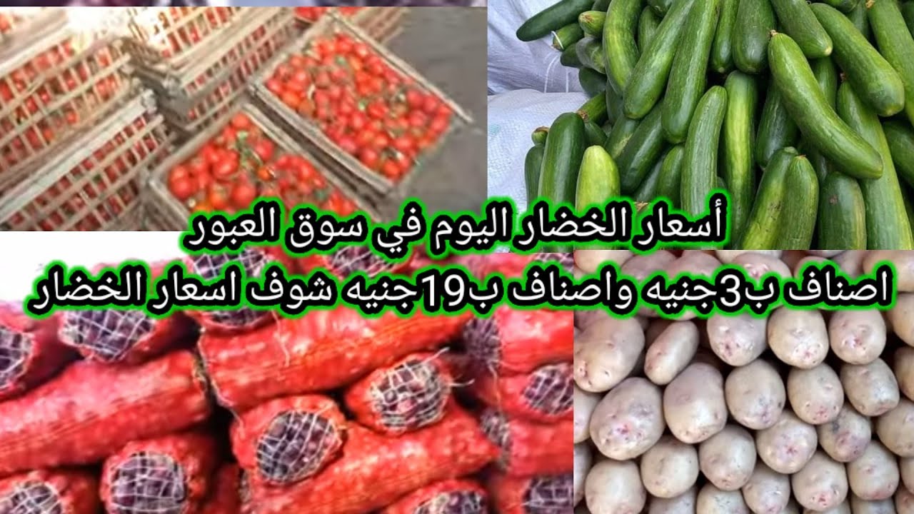 اسعار الخضروات بالكيلو اليوم الأربعاء 1-1-2025 داخل سوق العبور للمستهلك