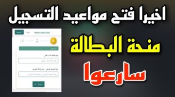 خطوات التسجيل في منحة البطالة عبر الموقع الخاص بالوكالة الوطنية للتشغيل