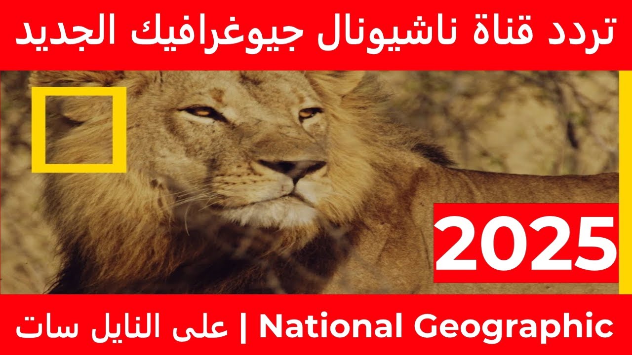 “منازل غريبة” تردد قناة ناشيونال جيوغرافيك National Geographic الجديد 2025 عبر النايل والعرب سات بجودة HD